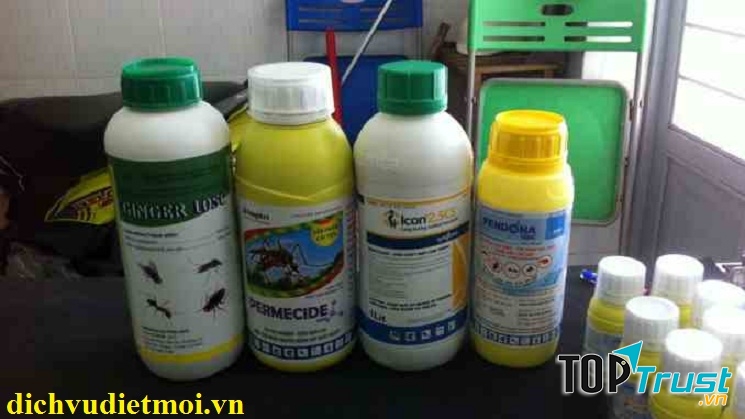 Dịch vụ diệt kiến tại tphcm cam kết diệt kiến tận gốc 100%, ngăn ngừa trong thời gian dài mà lại hoàn toàn không gây ảnh hưởng cho sức khỏe con người.
