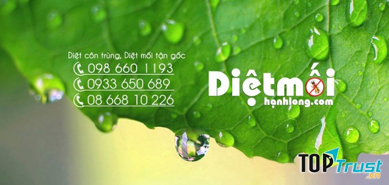 Công Ty Diệt Côn Trùng Hạnh Long