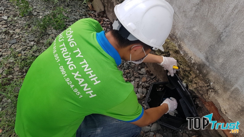 Công ty diệt côn trùng Khử Trùng Xanh (GDC)