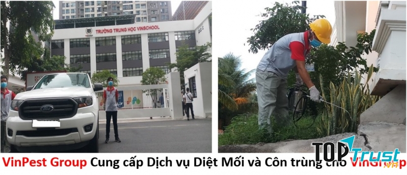 Công ty diệt diệt mối VinPest (VinPest Group)