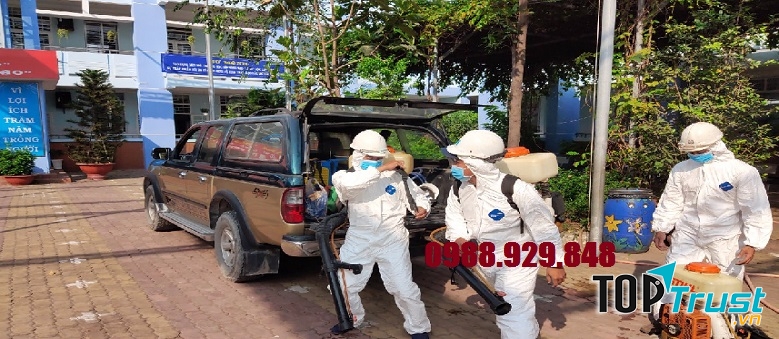 Công ty Diệt Mối & Côn Trùng Đại Việt