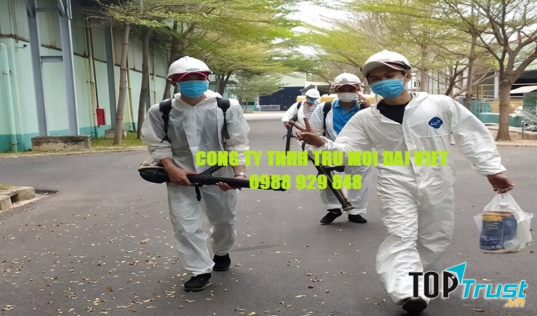 Công ty Diệt Mối & Côn Trùng Đại Việt