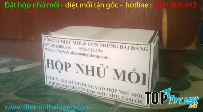 Công ty Diệt Mối Hải Đăng là đơn vị đi đầu trong cung cấp hộp nhử mối, thuốc diệt mối…với đội ngũ nhân viên chuyên nghiệp được đào tạo bài bản