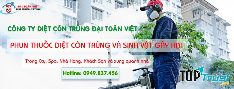 Công ty diệt mối và khử trùng Đại Toàn Việt