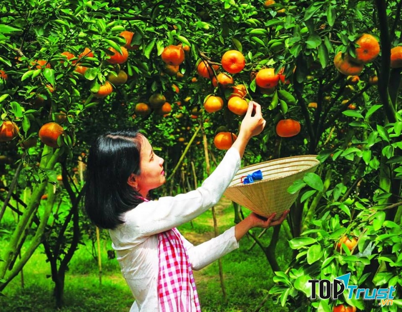 Công Ty Du Lịch Fiditour Cần Thơ