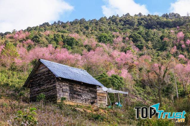 Công ty du lịch Lâm Đồng – Dalattourist