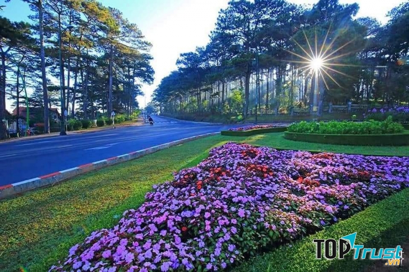 Công Ty Du Lịch Vietsun Tourist Cần Thơ