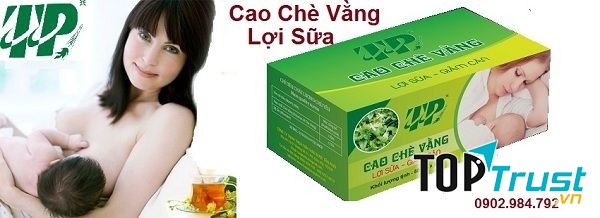 Cao Chè Vằng Tấn Phát