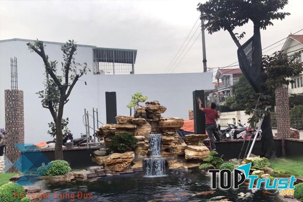 Công ty Hồ Cá Koi Trung Đức