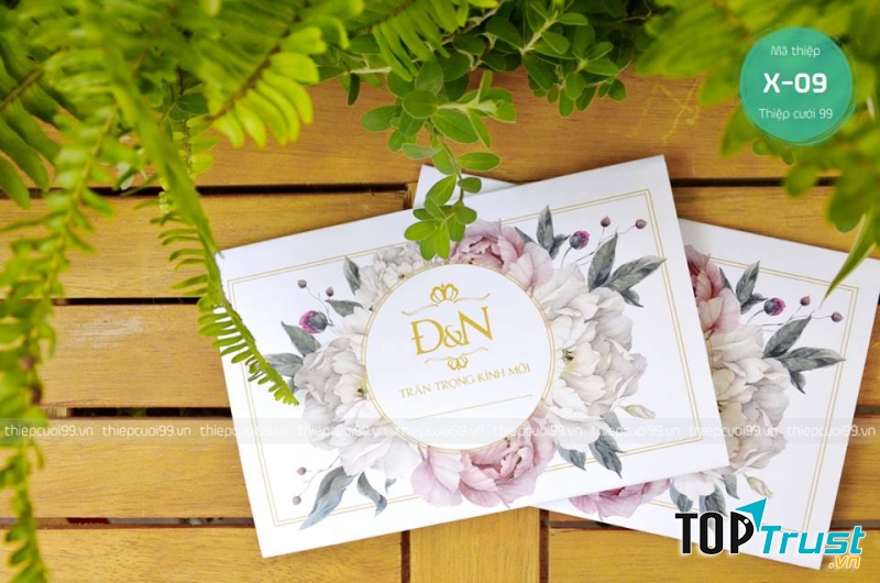 Công ty In Nhanh 247