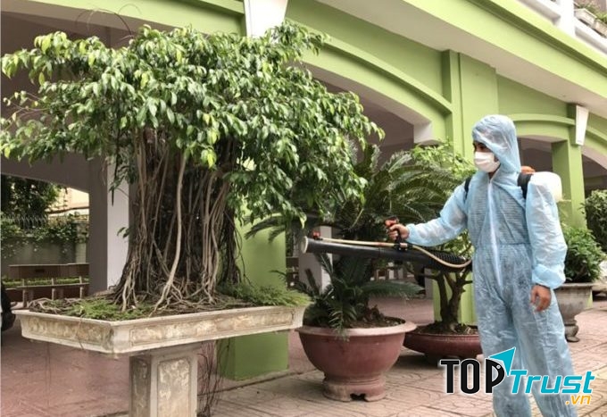 Liên hệ với công ty diệt côn trùng Đại Việt 12 năm kinh nghiệm để được các kỹ sư kiểm soát côn trùng dịch hại tư vấn các phương pháp phòng ngừa và tiêu diệt muỗi hiệu quả cho bạn