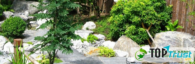 Công Ty Kiến Trúc Cảnh Quan Xanh