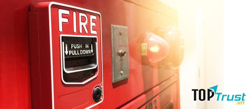 Công ty Nam Phương Phát