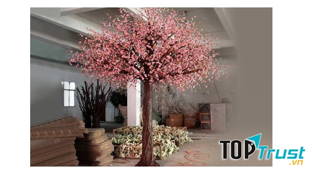 Công ty Nội Thất Nhập Khẩu Tân Hoàng Gia