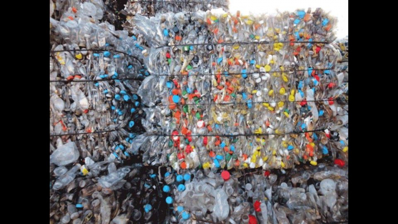 Công ty phế liệu 247