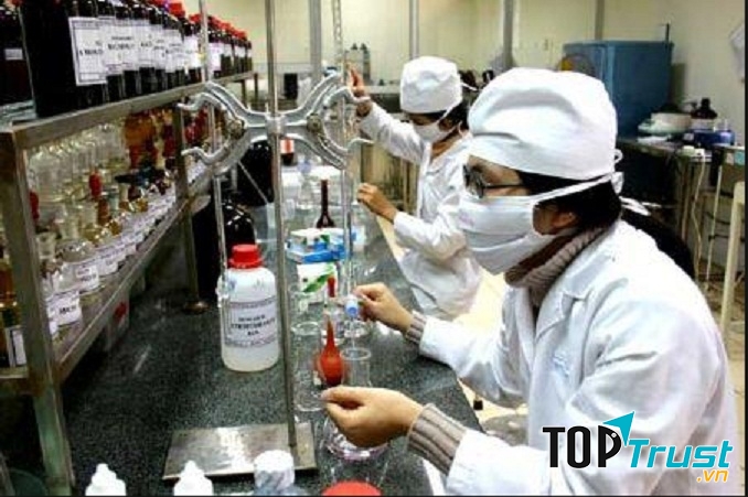 Công ty PVS Việt Nam