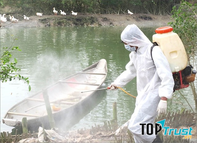 Công ty Thăng Long