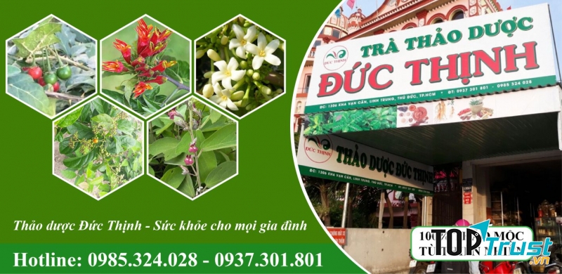 Công ty Thảo dược Đức Thịnh