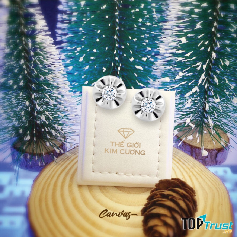 Trang sức Thế Giới Kim Cương  (Nguồn: Fanpage Thế Giới Kim Cương)