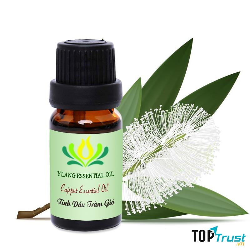 Công ty Tinh dầu Thiên nhiên Y Lang