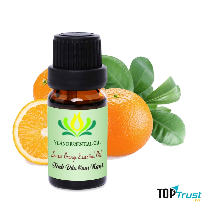 Công ty Tinh dầu Thiên nhiên Y Lang