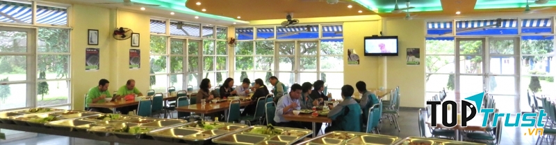 Các suất ăn công nghiệp được phục vụ tại chỗ