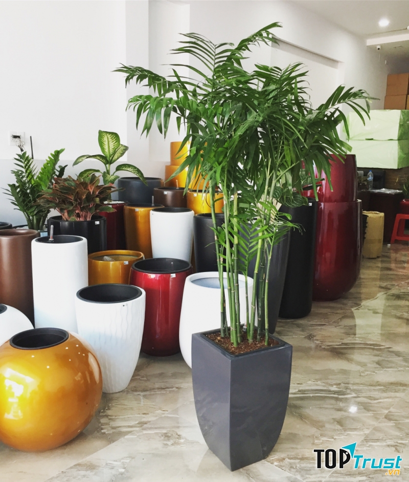 Công ty TNHH An Phước Khánh