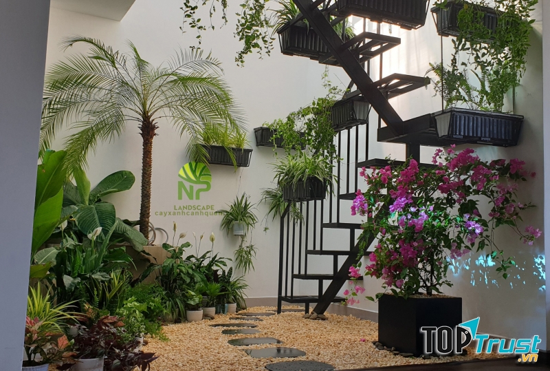 Thiết kế của Công ty TNHH Cảnh quan NP (NP LANDSCAPE)