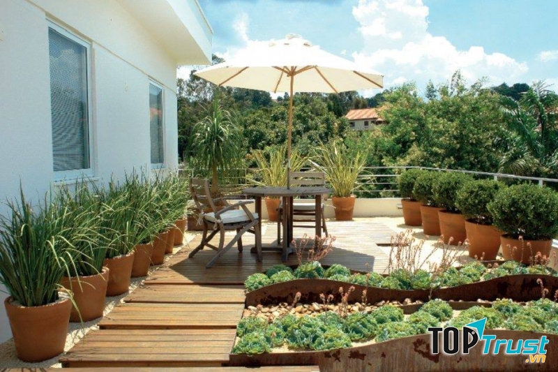 Công ty TNHH cảnh quan Phương Trung