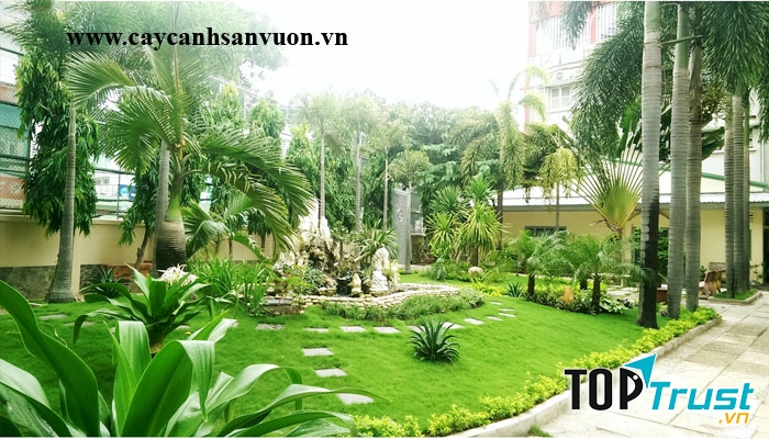 Công Ty TNHH Cảnh Quan Ý Tưởng Mới