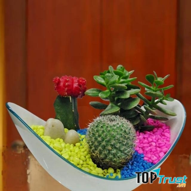 Công Ty TNHH Cây Xanh Cảnh Quan Hoa Sen Việt
