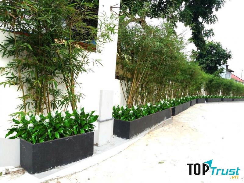 Công ty TNHH Cây Xanh Hoàng Nguyên