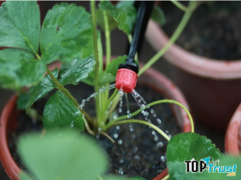 Công Ty TNHH Công Nghệ VHL