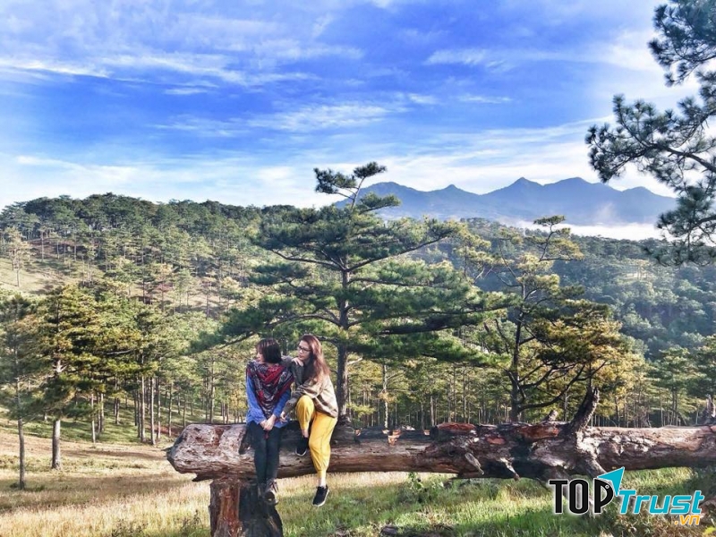 Công ty TNHH Đà Lạt Discovery