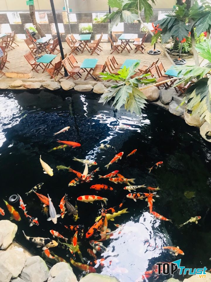 Công ty TNHH Đan Nhiên Phát