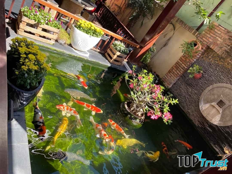 CÔNG TY TNHH ĐĂNG KHOA GARDEN