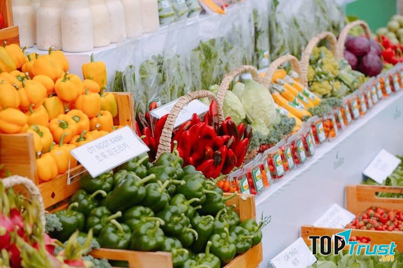 CÔNG TY TNHH ĐẦU TƯ SẢN XUẤT PHÁT TRIỂN NÔNG NGHIỆP VINECO