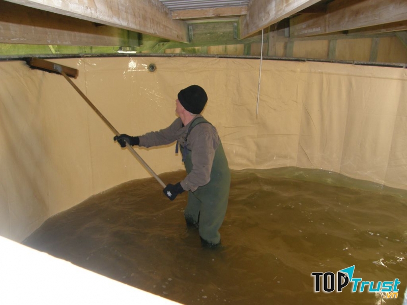 Công Ty TNHH Dịch Vụ & Thương Mại Nhà Việt