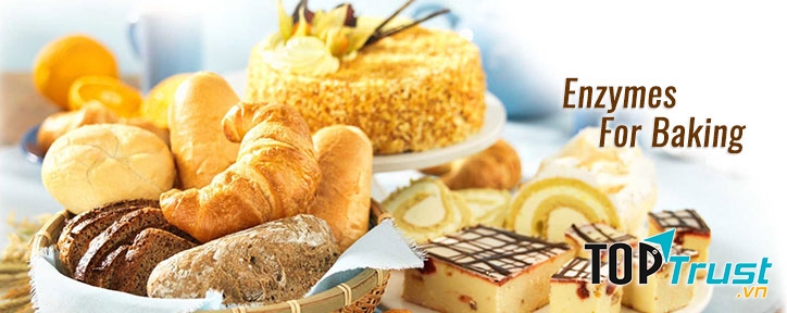 Hưng Thịnh Việt Nam hoạt động trong lĩnh vực cung cấp nguyên liệu và phụ gia chế biến thực phẩm sạch ở Việt Nam