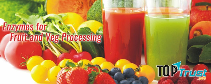 Hưng Thịnh Việt Nam hoạt động trong lĩnh vực cung cấp nguyên liệu và phụ gia chế biến thực phẩm sạch ở Việt Nam