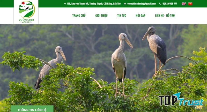 Dự án nổi bật Web Tiện Ích đã thực hiện cho khách hàng