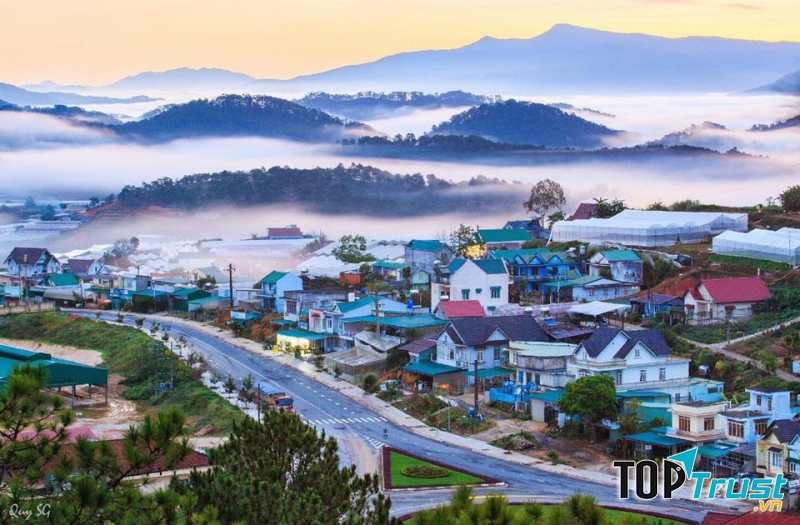 Công ty TNHH du lịch LATOUR Đà Lạt