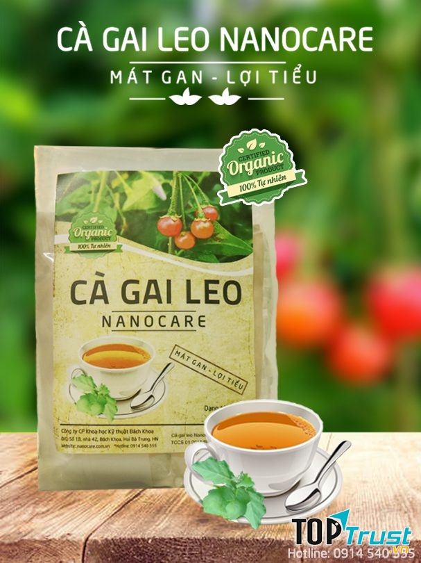 Công ty TNHH Dược Nanocare Việt Nam.