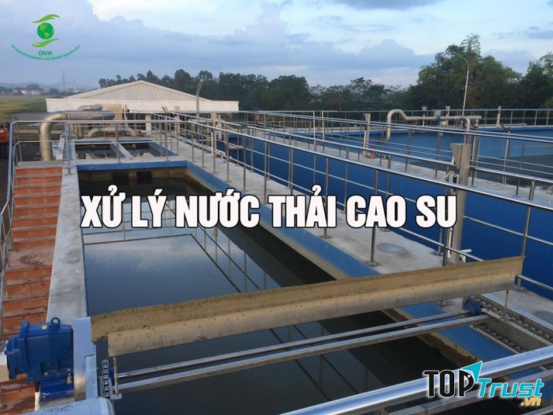 Công ty TNHH giải pháp môi trường Đại Nam