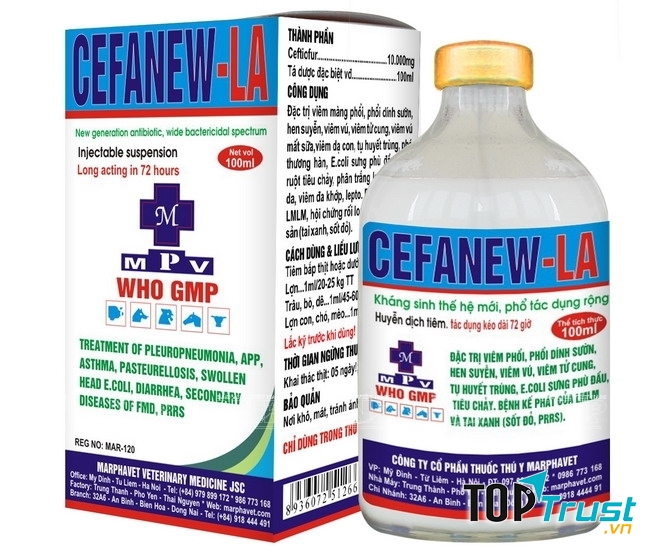 Sản phẩm của công ty Hoàng Nam