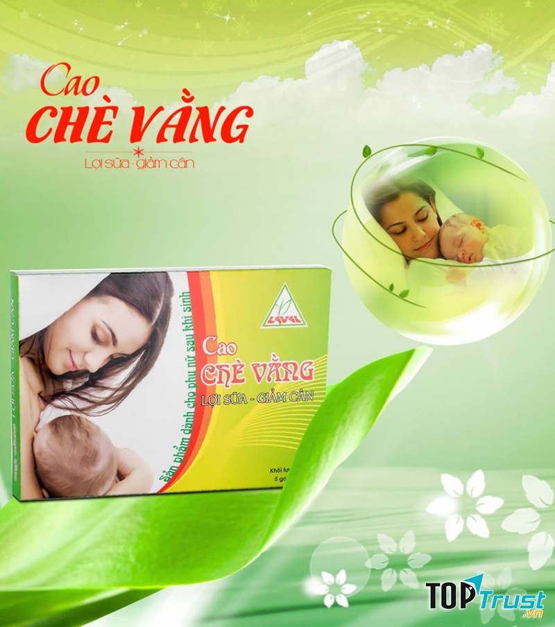 Cao chè vằng LAVA