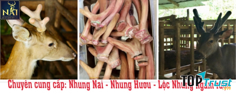 Công ty TNHH lộc nhung Đồng Nai