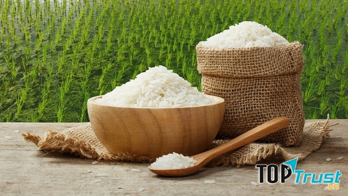 Công ty TNHH Lương thực Ngọc Đồng