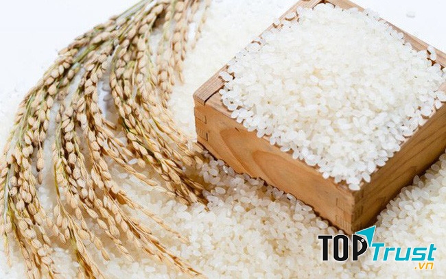 Công ty TNHH Lương thực Ngọc Đồng