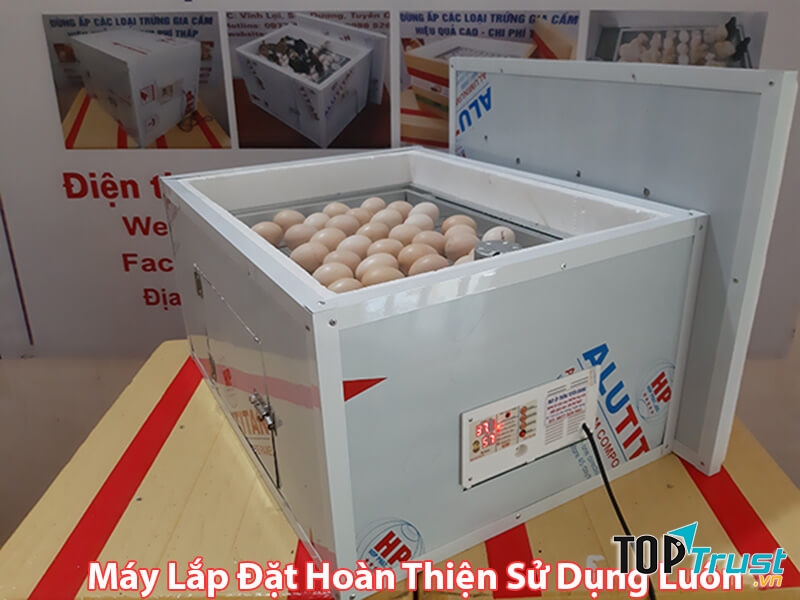 Công ty TNHH Máy Ấp Trứng Tuyên Quang